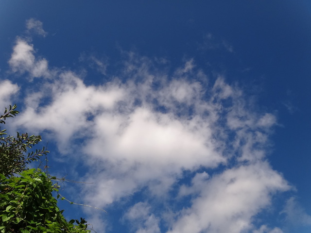 コメショウ　平成２４年７月１７日　青空