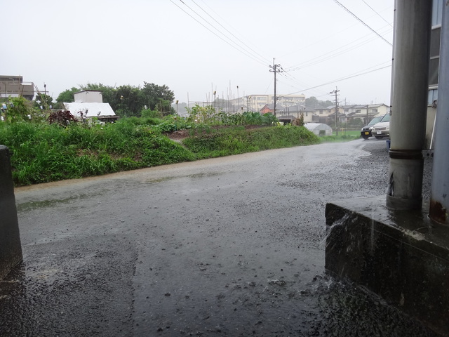 コメショウ　平成２４年７月２０日　大雨・洪水・雷注意報