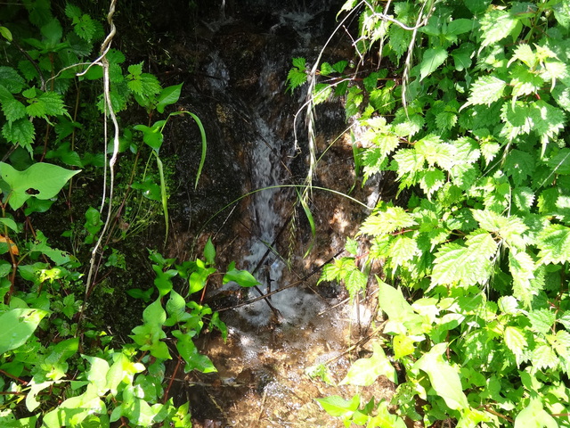 兵庫県但馬　美方郡香美町村岡区熊波　熊波の棚田　コメショウ