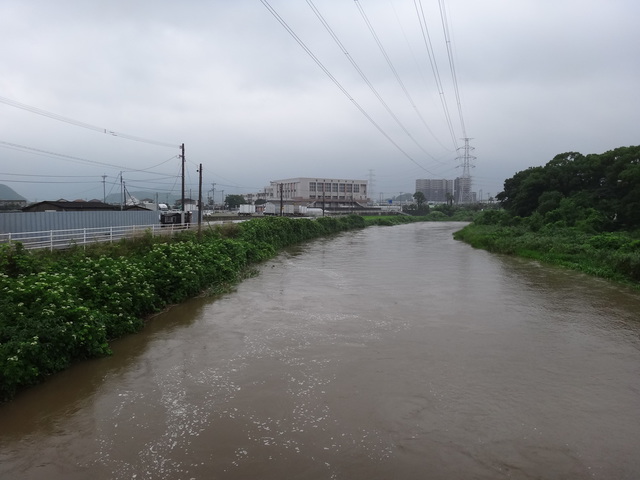 コメショウ　多々良川　福岡県糟屋郡粕屋町　愛犬ナナ　散歩