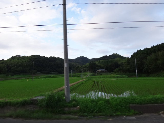 熊本県玉名郡南関町　田んぼ　ヒノヒカリ　コメショウ