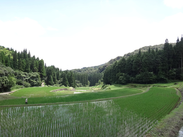 日本の棚田百選　幸田の棚田　鹿児島県姶良郡湧水町　コメショウ