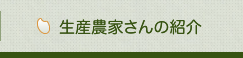 生産農家さんの紹介