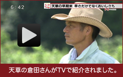 天草の倉田さんがTVで紹介されました。