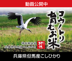 【動画公開】但馬の地米「コウノトリ育むお米」