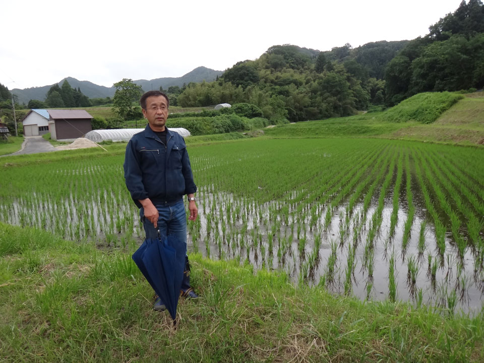 株式会社日食　島根県安来市広瀬町東比田　コシヒカリ　須藤昌裕さん　自信米ゴールド　鶴亀寿司