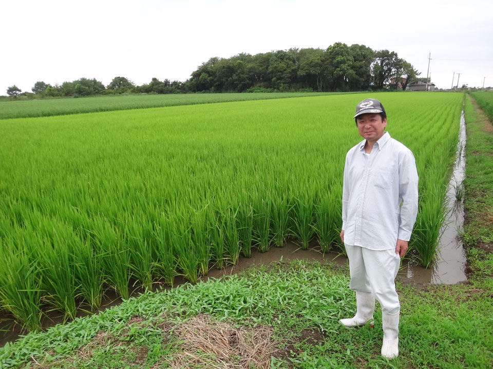 株式会社日食　２９年産　新米　ヒノヒカリ　産地特選米　大分県宇佐市長洲　桃田勝則