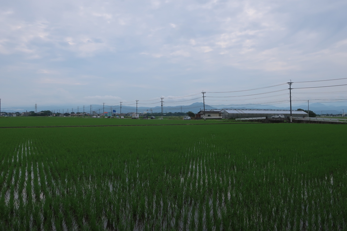 株式会社日食 福岡県糟屋郡須恵町大字植木831番地 食味にこだわり過ぎる変態米屋 熊本市東区画図町 特別栽培米 ヒノヒカリ JA熊本市 画図特別栽培米部会 田んぼ