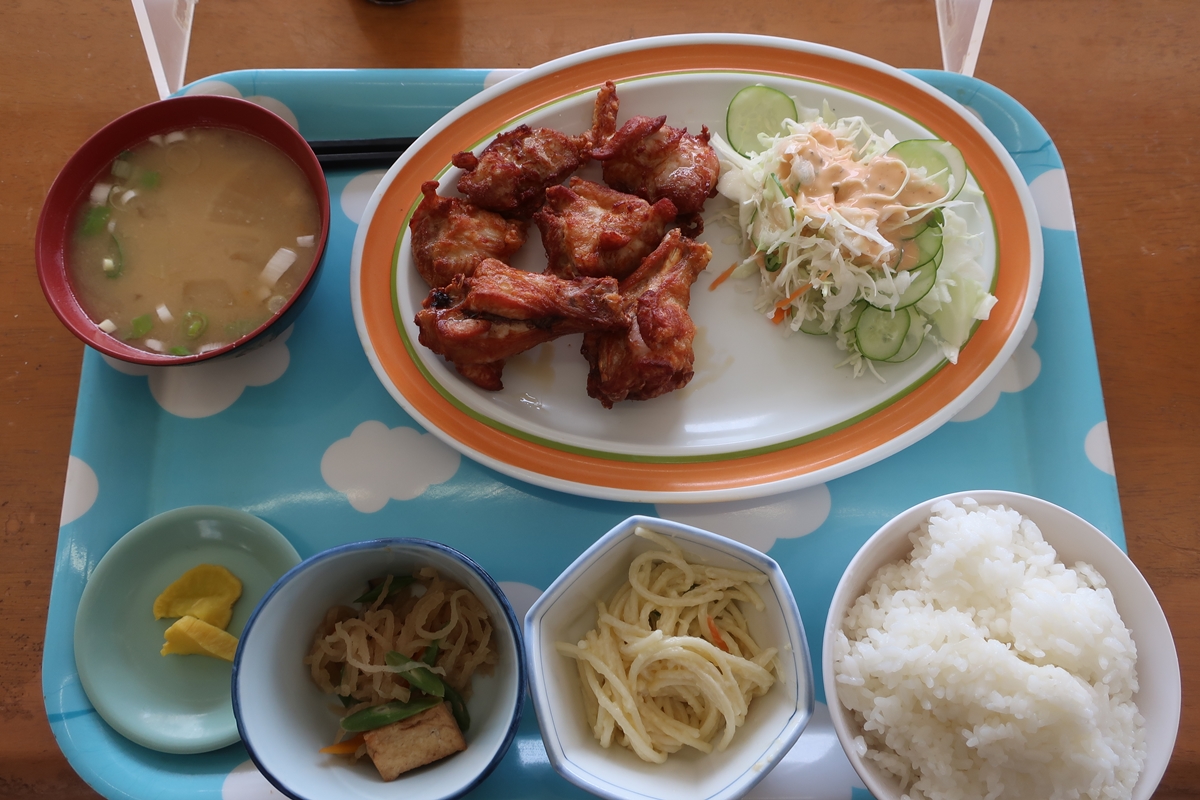 株式会社日食 福岡県糟屋郡須恵町大字植木831番地 食味にこだわり過ぎる 今日のお昼ごはん 恵の駅 熊本県山鹿市寺島 唐揚げ定食 600円 国道3号線沿い