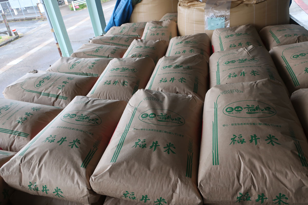 株式会社日食 JA福井県 米穀低温倉庫 東十郷倉庫 福井県坂井市坂井町上新庄 令和2年産 いちほまれ 1等 エコ栽培米 福井県坂井市坂井町 アグリ高橋昭