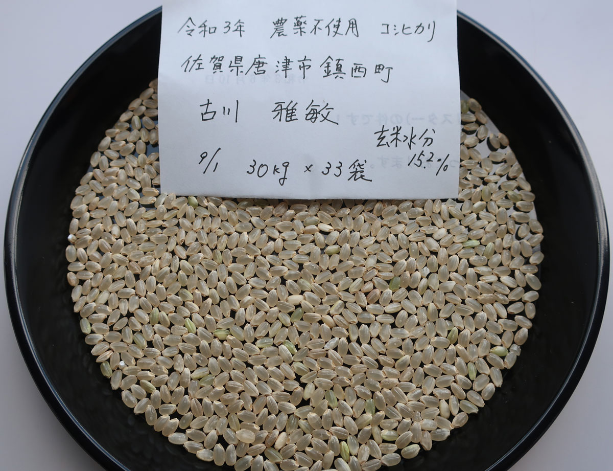 令和3年産 新米 農薬不使用のお米 コシヒカリを試食 | 日食の棚田米 | 安心・安全・無農薬の美味しいお米