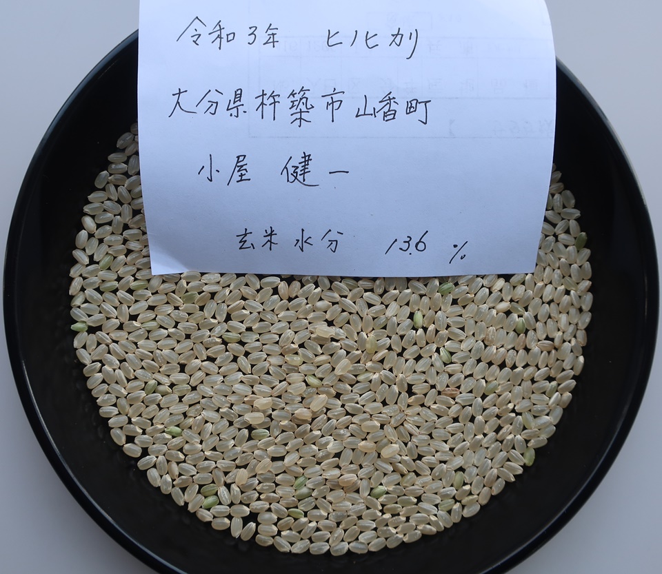 大分県杵築市山香町 小屋さんのヒノヒカリを試食 | 日食の棚田米