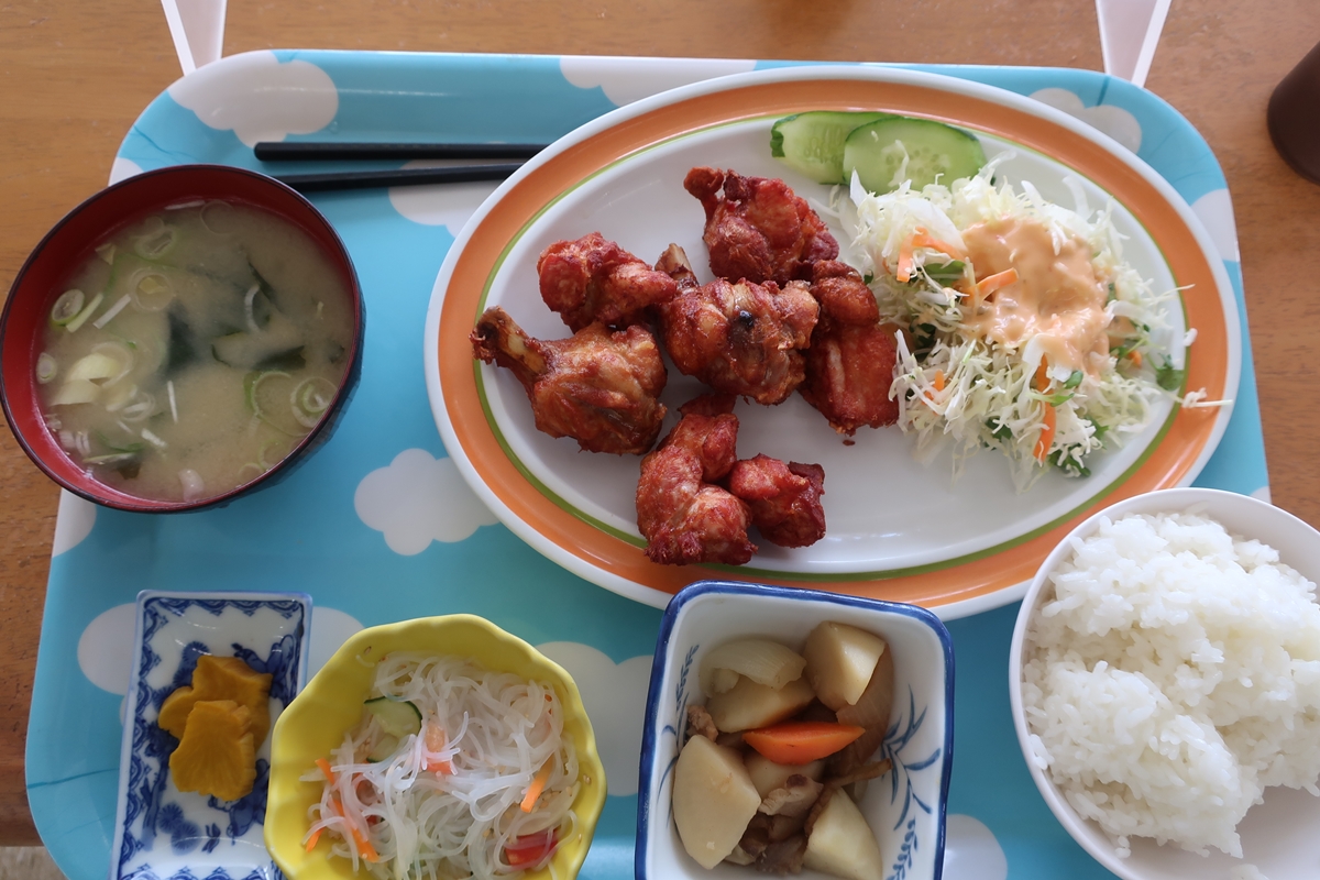 株式会社日食 今日のお昼ごはん 恵の駅 熊本県山鹿市寺島 からあげ定食 600円 国道3号線沿い